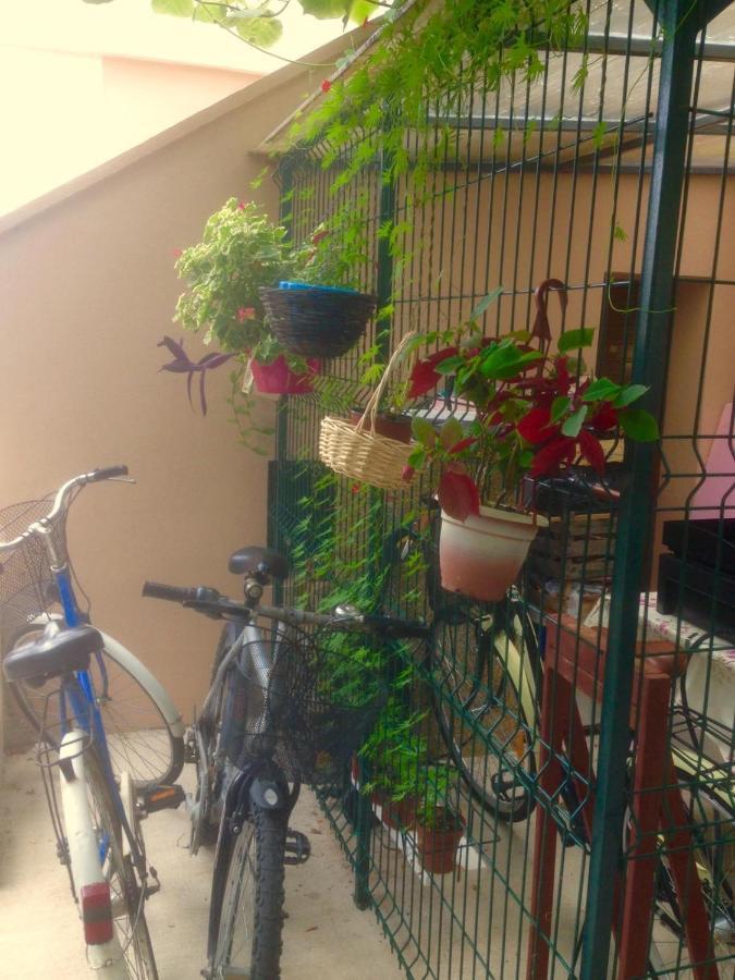 Apartment Dunja Djenovici Herceg Novi Esterno foto