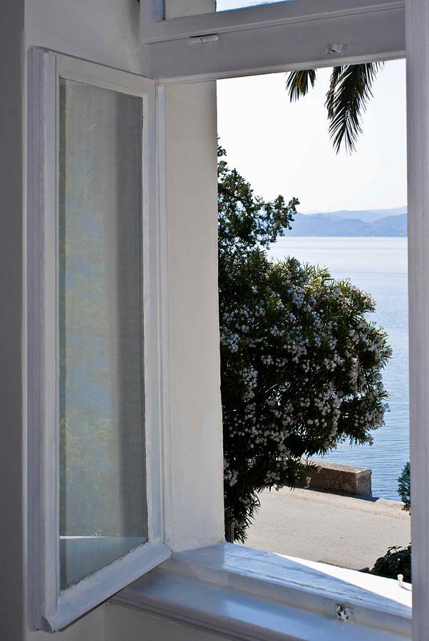 Apartment Dunja Djenovici Herceg Novi Esterno foto