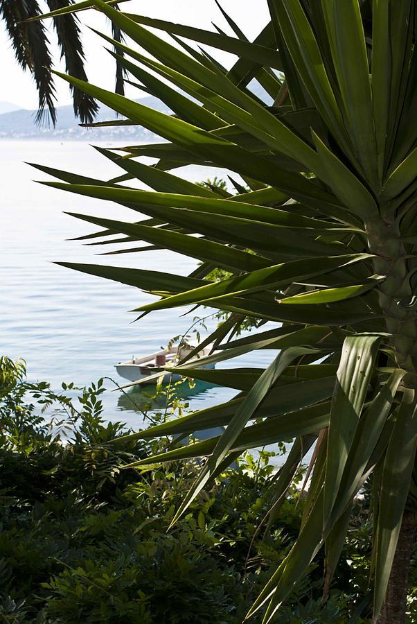 Apartment Dunja Djenovici Herceg Novi Esterno foto